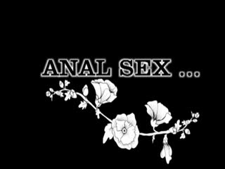 Sexy Anal Fun