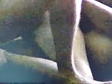 Filename=32.flv
Filesize=1145KB
Dimensions=120x90
Date added=Jan 19, 2019 32.flv