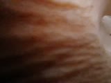 b8.flv